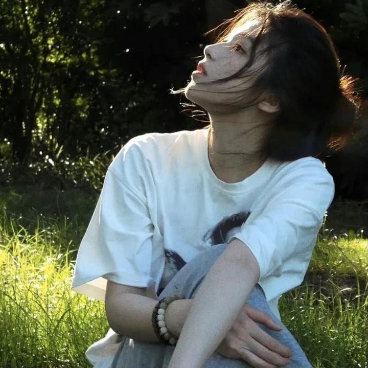 阿曼达与小狐狸